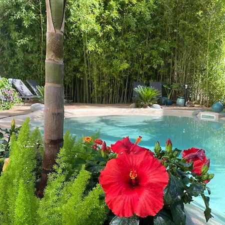 Appt Ambiance Boheme 2 Ch Piscine Lagon Appartement Tarbes